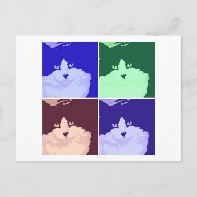 Black and White Longhaired Cat Postcard (Front)