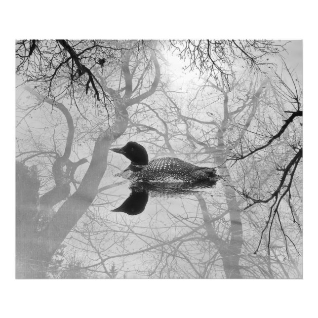 Black and white loon on a lake print (Front)