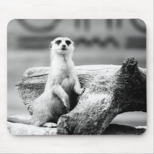 Black and White Meerkat On A Tree Mouse Pad