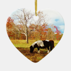 Black and White Miniature Pony / Horse Ceramic Ornament