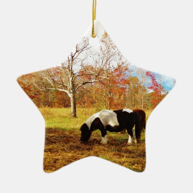 Black and White Miniature Pony / Horse Ceramic Ornament (Front)
