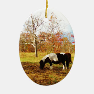 Black and White Miniature Pony / Horse Ceramic Ornament