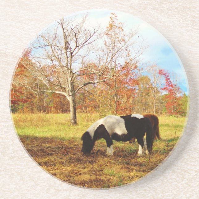 Black and White Miniature Pony / Horse Coaster (Front)