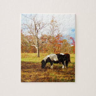 Black and White Miniature Pony / Horse Jigsaw Puzzle