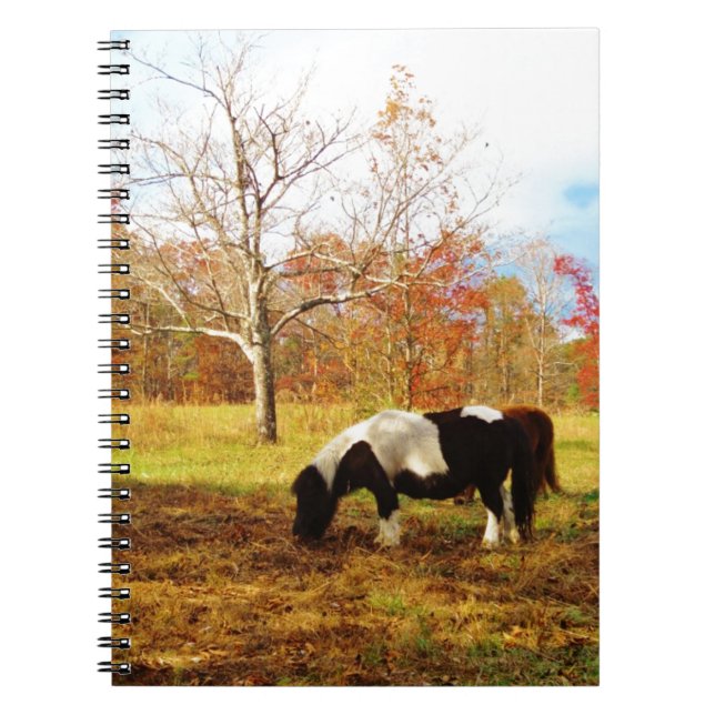 Black and White Miniature Pony / Horse Notebook (Front)