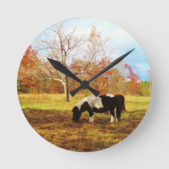 Black and White Miniature Pony / Horse Round Clock (Front)