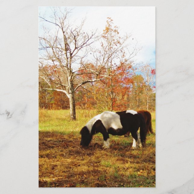 Black and White Miniature Pony / Horse Stationery (Front)