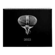 Black and White minimalist Insects - Bugs 2022