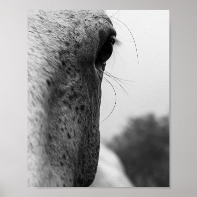 Black and white modern horse eye poster (Front)