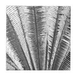 Black and White Modern Tropical Palm Fronds Tile<br><div class="desc">This modern and cool black and white tropical palm fronds is perfect for the trendy and stylish individual. It's simple and contemporary print is great for many gifts and occasions. Just enjoy this elegant and exotic print for your next purchase.</div>