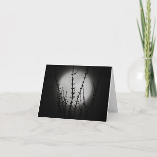 Black and White Moon note cards