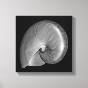 Black and White Nautilus Shell Canvas Print