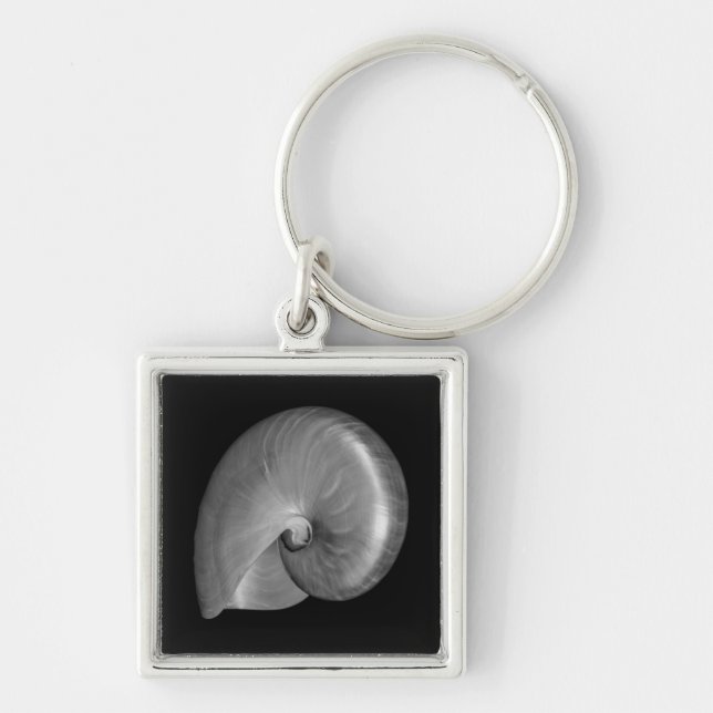 Black and White Nautilus Shell Keychain (Front)