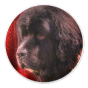 Black And White Newfoundland Dog Face Ceramic Knob