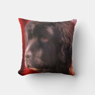 Black And White Newfoundland Dog Face   Throw Pillow