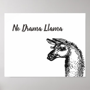 Black and White No Drama Llama Line Art Drawing Poster
