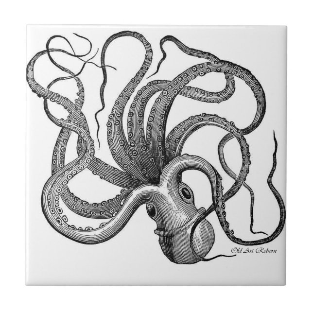 Black And White Octopus Ceramics Tile (Front)