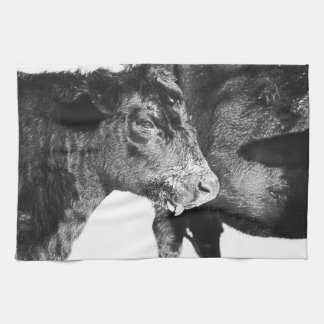 Black and White on Angus Cattle Kitchen Towel