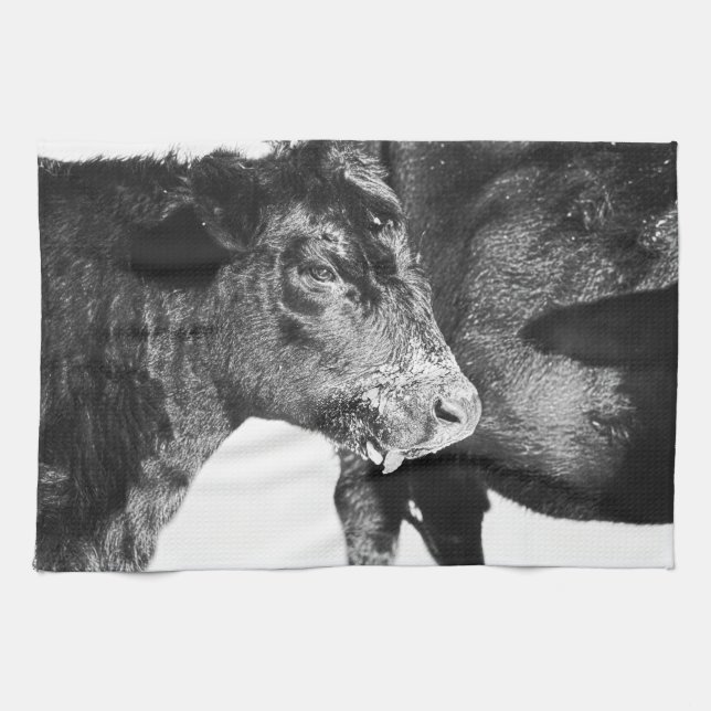 Black and White on Angus Cattle Kitchen Towel (Horizontal)