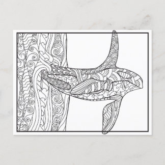 Black and White - Orca Colouring Postcard
