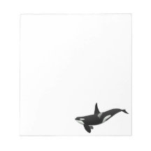 Black and White Orca Killer Whale