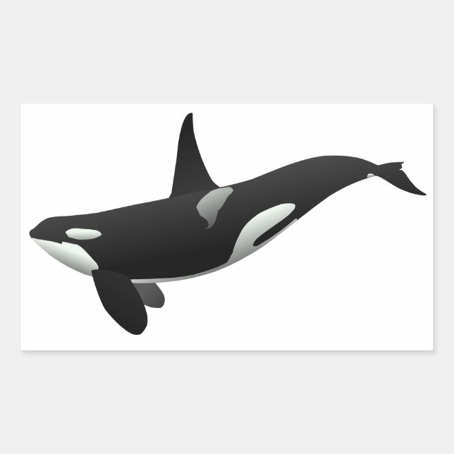 Black and White Orca Killer Whale Sticker (Front)