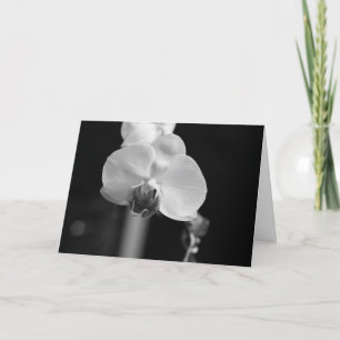 Black and White Orchid Photo "Happy Birthday!" Card