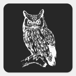 Black and White Owl Art Square Sticker