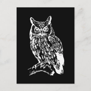 Black and White Owl Design Postcard