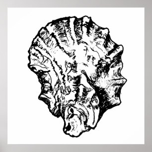 Black and White Oyster Shell Poster