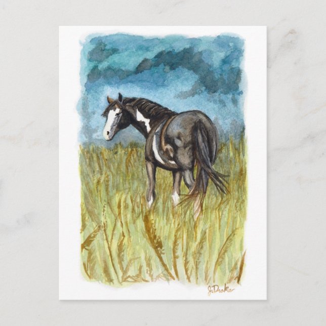 Black and White Paint Horse Watercolor Art Postcard (Front)