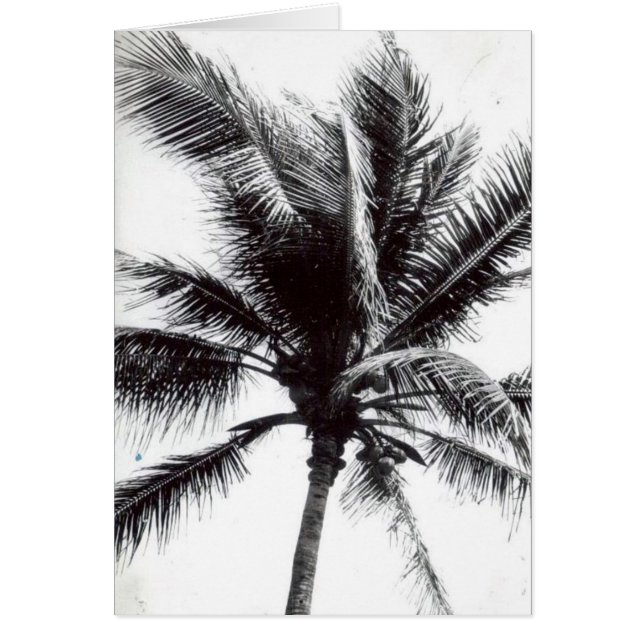 Black and White Palm Tree Card (Front)