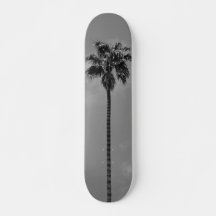 Black and White Palm Tree Skateboard