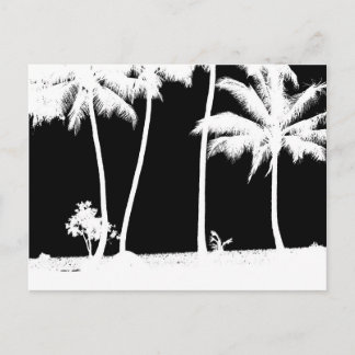 Black and White Palm Trees Postcard