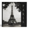 Black and White Paris Eiffel Tower