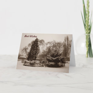 black and white park snow scene chrismas holiday card