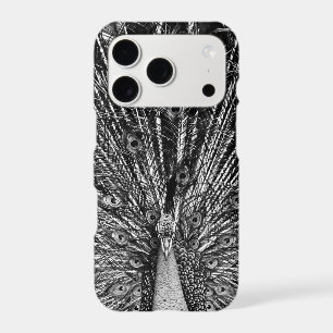 Black and White Peacock