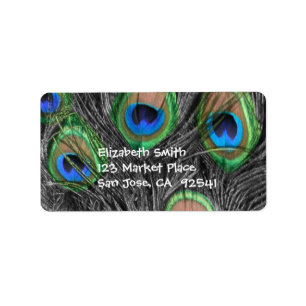 Black and White Peacock Feather Adress Label