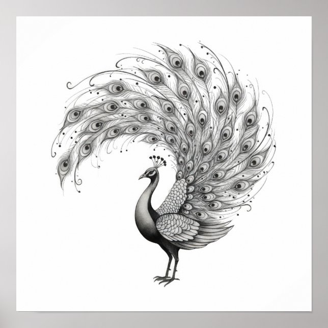 Black and White Peacock Poster (Front)