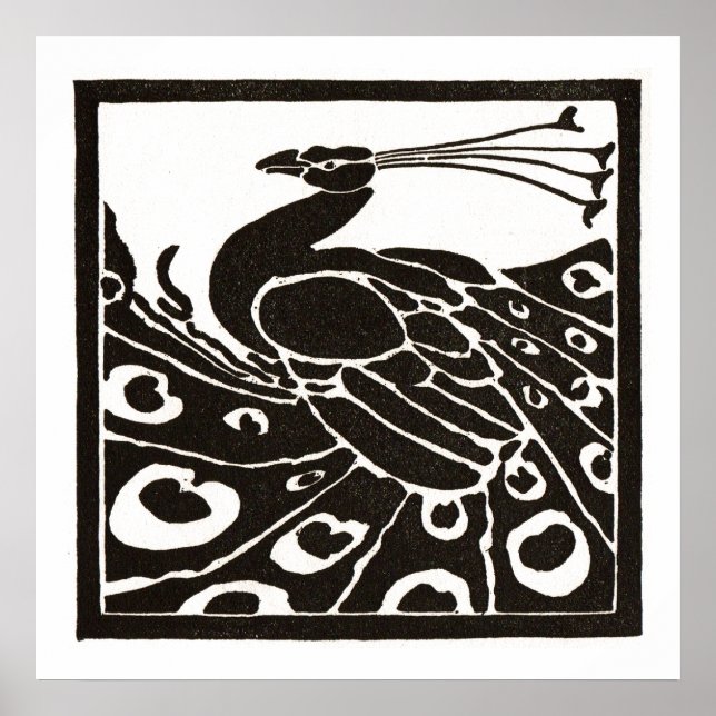 BLACK AND WHITE PEACOCK POSTER (Front)