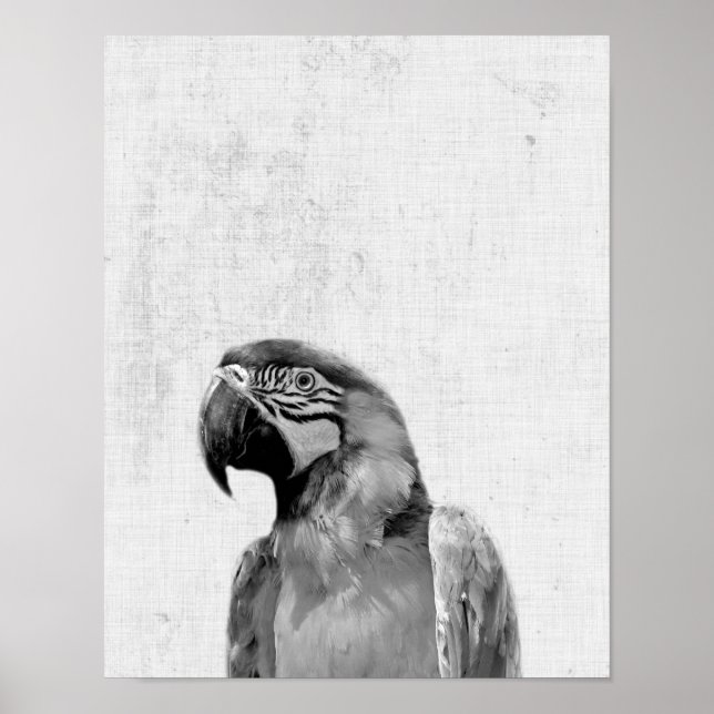 Black and White Peekaboo Parrot Minimalist Nursery Poster (Front)