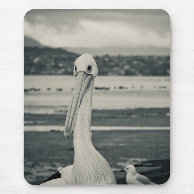 Black and White Pelican Photograph Mouse Pad (Front)