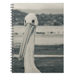 Black and White Pelican Photograph Notebook