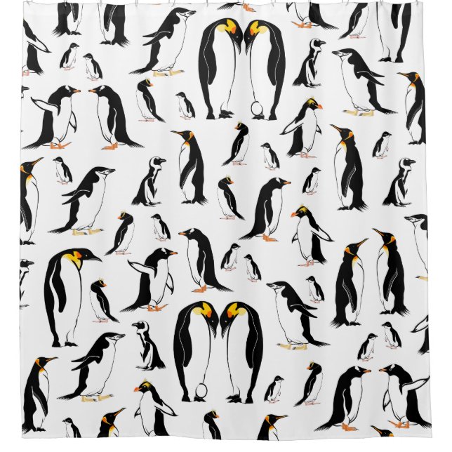 Black and white penguin Pattern (Front)