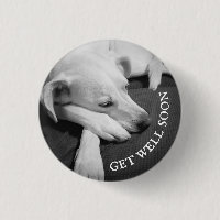 Black and White Photo of a Beautiful Dog Sleeping