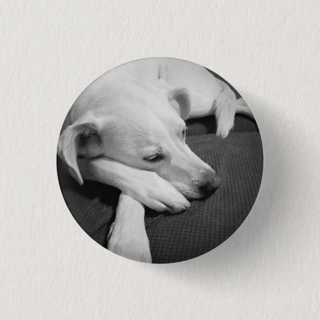 Black and White Photo of a Beautiful Dog Sleeping 1 Inch Round Button (Front)