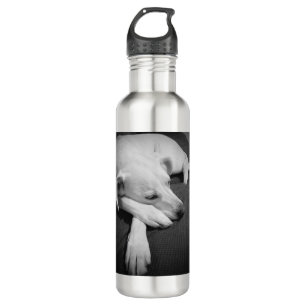 Black and White Photo of a Beautiful Dog Sleeping 710 Ml Water Bottle
