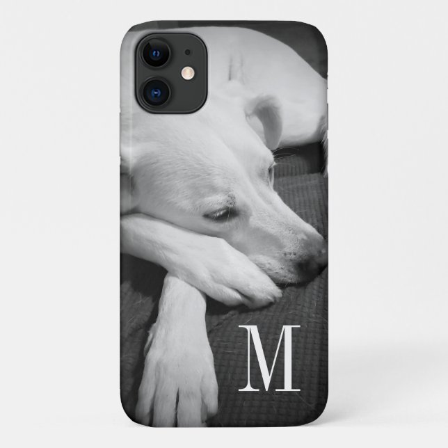 Black and White Photo of a Beautiful Dog Sleeping Case-Mate iPhone Case (Back)