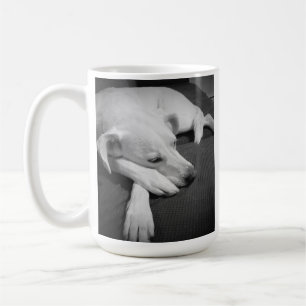 Black and White Photo of a Beautiful Dog Sleeping Coffee Mug