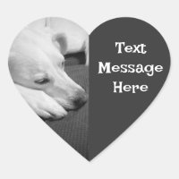 Black and White Photo of a Beautiful Dog Sleeping